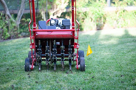 aerating lawn