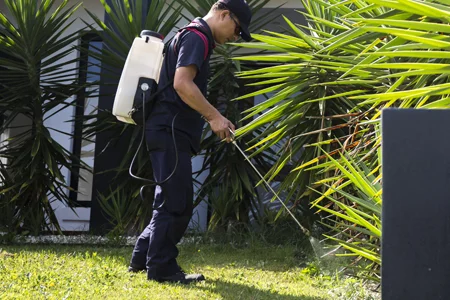 spraying perimeter of house for pest