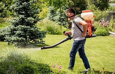 spraying for mosquitoes