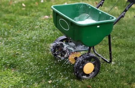 lawn care fertilizing lawn