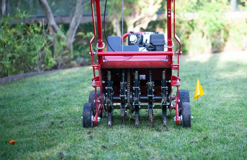 aerating lawn