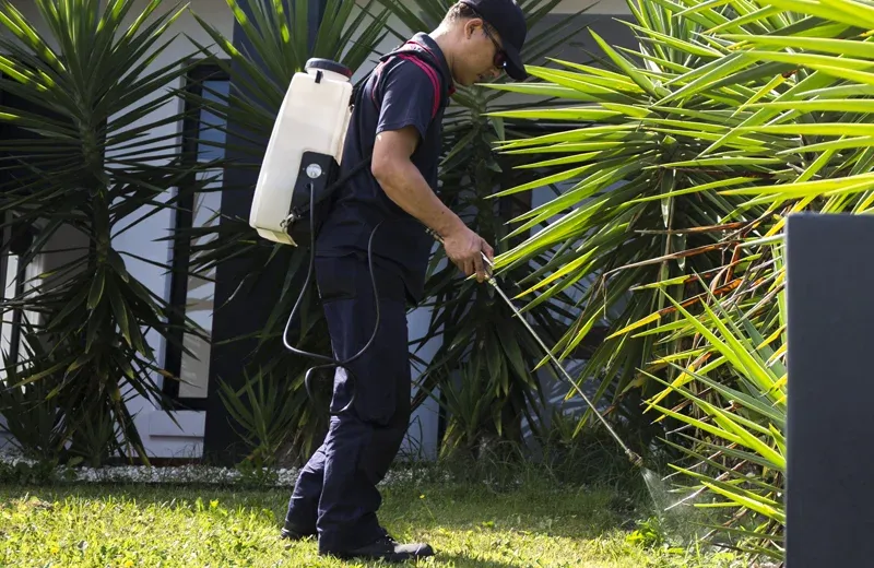 spraying exterior of a home