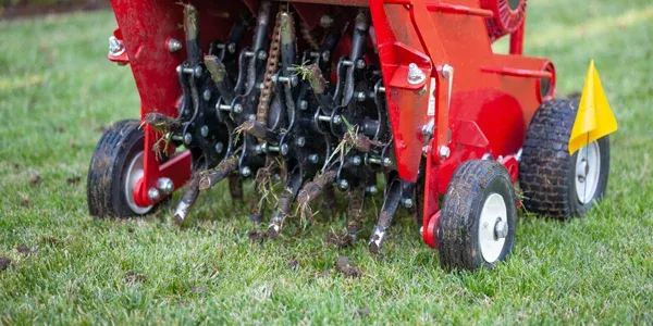 aerating lawn