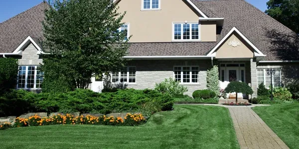 house with green healthy grass